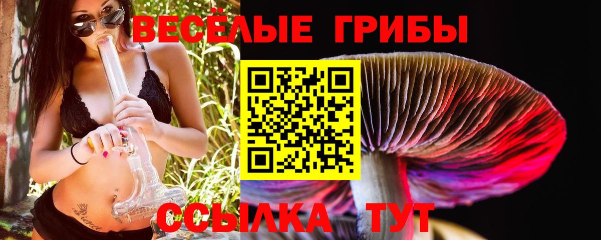 Галлюциногенные грибы Magic Shrooms  Вход с VPN  Саратов 