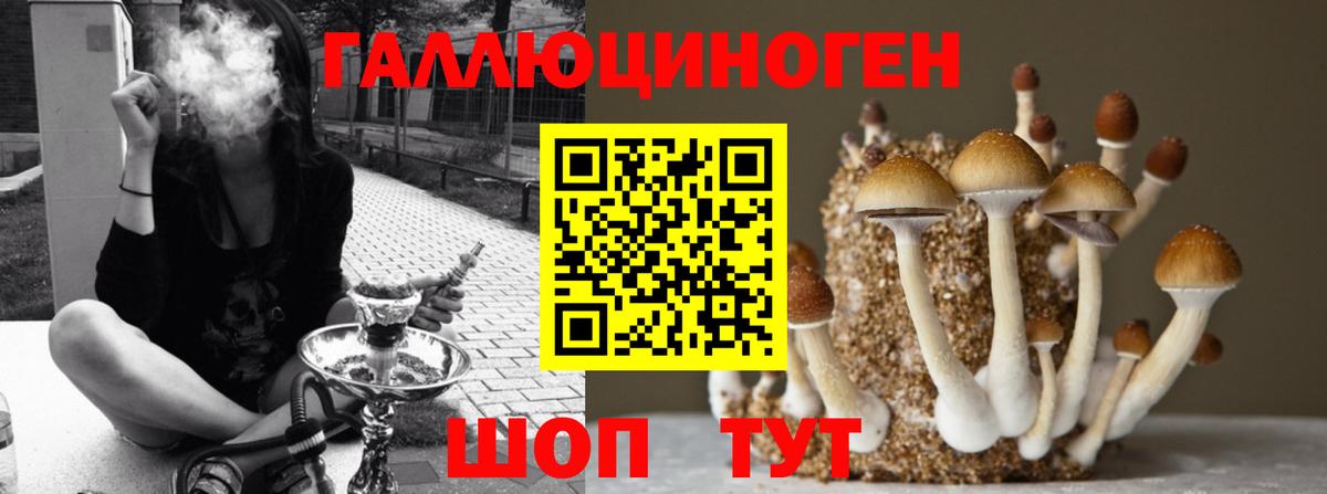 Псилоцибиновые грибы Cubensis Саратов
